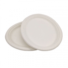 Assiettes de fête ovales en bagasse jetables biodégradables de vente chaude