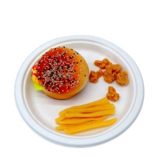 White Sugarcane 9 Inch Round Plates Biodegradable Plates For Food