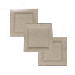 Popular Decomposable Square Sugarcane Bagasse Plate