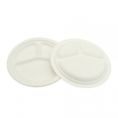 Eco-friendly Food Container Sugarcane Round Plates Tableware Disposable Takeaway Plates