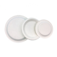 High Quality Eco-Friendly Biodegradable Compostable Disposable Bagasse Sugarcane Plates