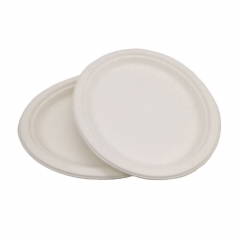 Factory Directly Eco Biodegradable Bagasse Pulp Paper Sugarcane Oval Plate White