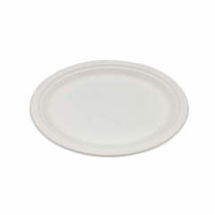 Sugarcane Bagasse Pulp Disposable Plates Biodegradable Paper Dinner Oval Plates For Restaurant