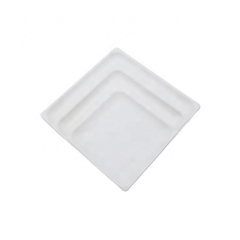 Disposable Sugarcane Bagasse Square plates for Dessert