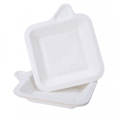 Assiette à pizza biodégradable pour gâteau en papier 100% bagasse de canne à sucre jetable qui respecte l'environnement