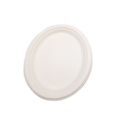 Popular disposable sugarcane bagasse compostable oval party food plates