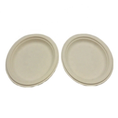 Eco-friendly Natural 100% Biodegradable Sugar Cane Bagasse Plates