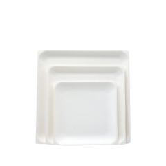 Disposable White square Plate Biodegradable Sugarcane bagasse Plates For Fruits