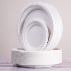 Wholesale Price 10 Inch Compostable Sugarcane Pulp Bagasse Round Plate