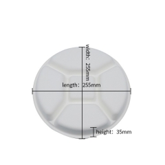 Hot selling disposable biodegradable 10 inch round bagasse plate for restaurant