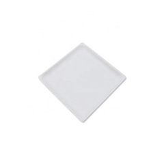 New Style Square Bagasse Pulp Biodegradable Sugarcane Plates