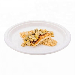 Assiette de bagasse de canne à sucre compostable biodégradable et écologique