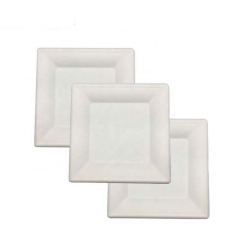 Eco-Friendly Biodegradable Compostable Bagasse Sugarcane Disposable Food Plate