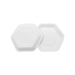 Factory direct plate biodegradable sugarcane fruit fast food plates