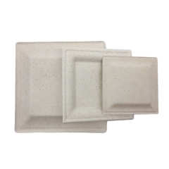 Hot Selling Biodegradable Paper Pulp Plate Compostable Sugarcane Bagasse Disposable Square Plate