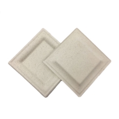 Hot Selling Biodegradable Paper Pulp Plate Compostable Sugarcane Bagasse Disposable Square Plate