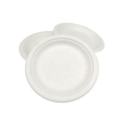 White Disposable Biodegradable Sugarcane Round Food Plate For Wedding