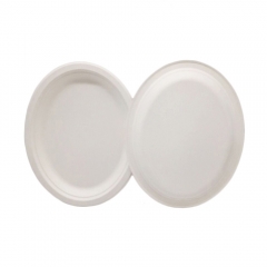 Wholesale 100% biodegradable Plate Sugarcane Pulp Oval Disposable Bagasse Plate