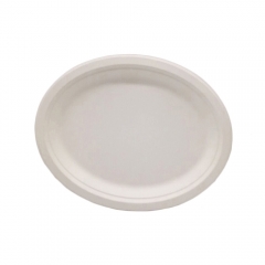 Disposable Paper Oval Plates Sugarcane Bagasse Pulp Paper Party Camping Plates