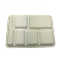 Take-away Compostable Disposable Sugarcane Bagasse Tray