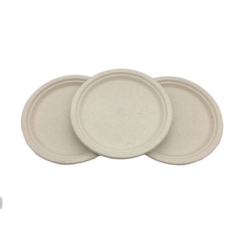 Emballage alimentaire jetable assiette de bagasse de canne à sucre biodégradable