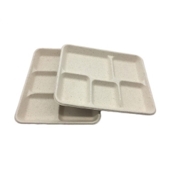 New design biodegradable disposable sugarcane pulp 5 part food tray for restaurant