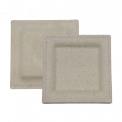 Eco Friendly Disposable Degradable 10inch Sugarcane Square Bagasse Plate