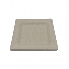 Eco Friendly Disposable Degradable 10inch Sugarcane Square Bagasse Plate