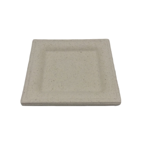 Eco Friendly Disposable Degradable 10inch Sugarcane Square Bagasse Plate