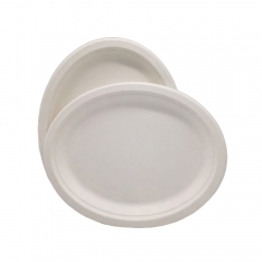 Usine Directement Eco Biodégradable Pâte De Bagasse Papier Canne À Sucre Plaque Ovale Blanc