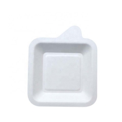 Hot Sale Biodegradable Bagasse Paper Cake Plate