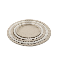 Disposable compostable sugarcane bagasse pulp round plates