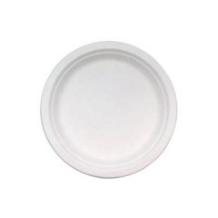 White Disposable Biodegradable Sugarcane Round Food Plate For Wedding