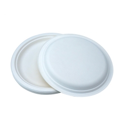 Vaisselle biodégradable écologique 100% assiette de pulpe de canne à sucre jetable assiette de canne à sucre