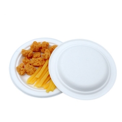 Eco-friendly Disposable Sugarcane Bagasse Paper Plates Biodegradable Tableware for Party
