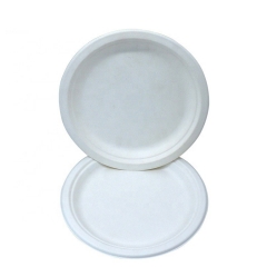 White Sugarcane 9 Inch Round Plates Biodegradable Plates For Food