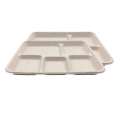 Hot selling disposable compostable 5 compartment packaging dinner tray for restaurant