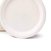 Polpa de cana não branqueada 9 pratos descartáveis ​​plástico design bagass prato redondo