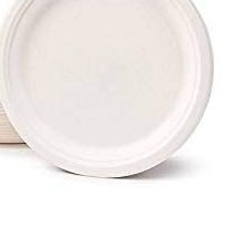 Unbleached sugarcane pulp 9 disposable plates plastic design bagass round plate