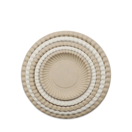 Disposable compostable sugarcane bagasse pulp round plates