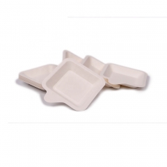 Eco-Friendly Disposable 100% Sugarcane Bagasse Biodegradable Paper Cake Pizza Plate