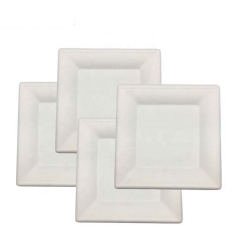Eco-Friendly Biodegradable Compostable Bagasse Sugarcane Disposable Food Plate