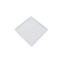 Disposable Sugarcane Bagasse Square Dinner Plates for Weddings