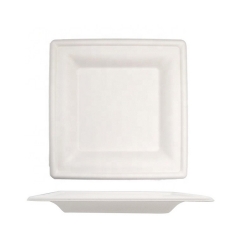 Factory Direct Sugarcane Square Tableware Bagasse Plate Biodegradable