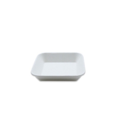 Mini Size Square Plate Disposable Biodegradable Sugarcane Plate