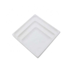 Disposable biodegradable sugarcane square tray