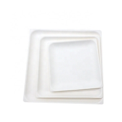 Disposable Square plate Biodegradable Sugarcane pulp Fruits Plates