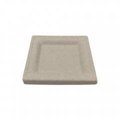 Unbleached 6 inch biodegradable sugarcane bagasse pulp plate
