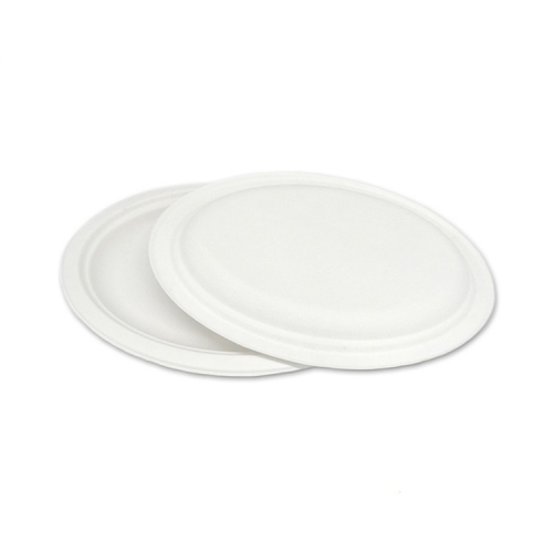 Assiettes en papier blanc de pulpe de bagasse biodégradable jetables de haute qualité