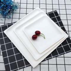 Disposable Square plate Biodegradable Sugarcane pulp Fruits Plates